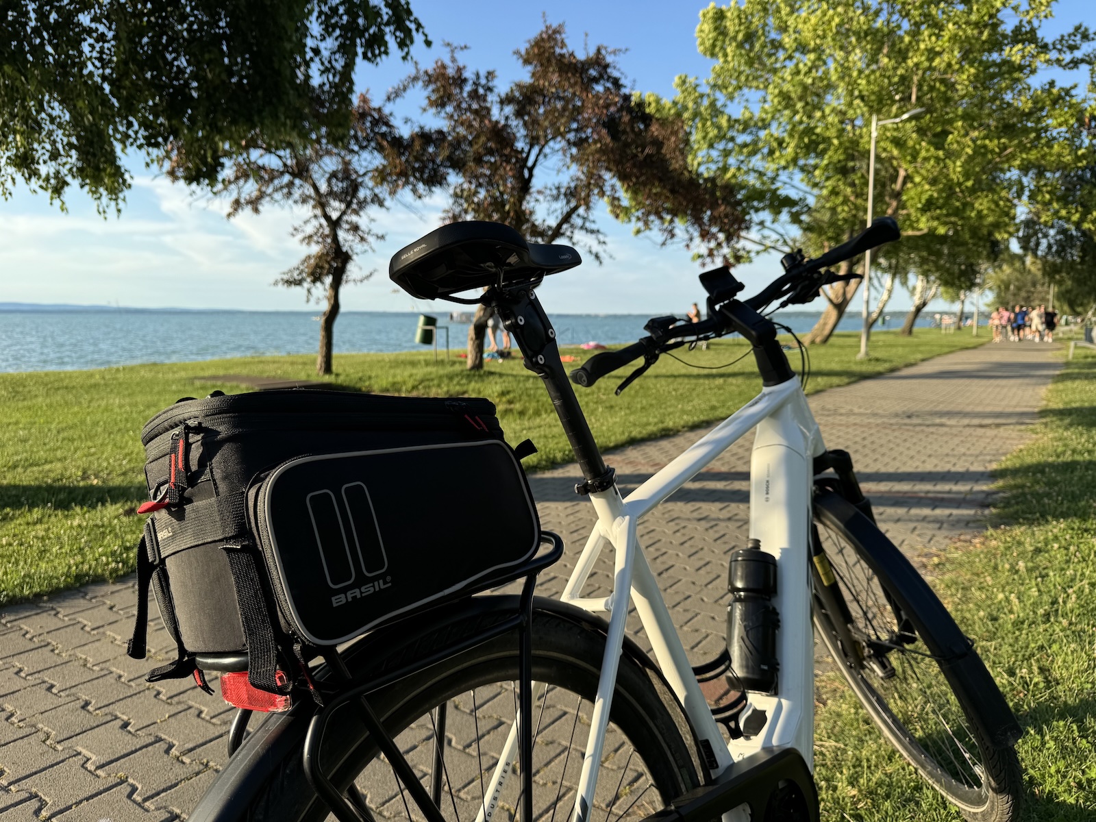 Premium bicycle by the shore of Balaton in summer light